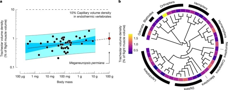 Zašto su nestali džinovski praistorijski insekti? Novo istraživanje menja objašnjenje