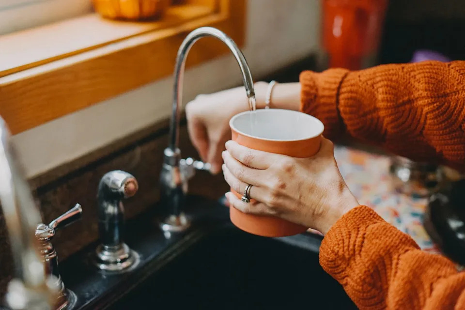 Srednjoškolka Iz Virginije Osmislila Filter Koji Uklanja 95,5% Mikroplastike Iz Vode