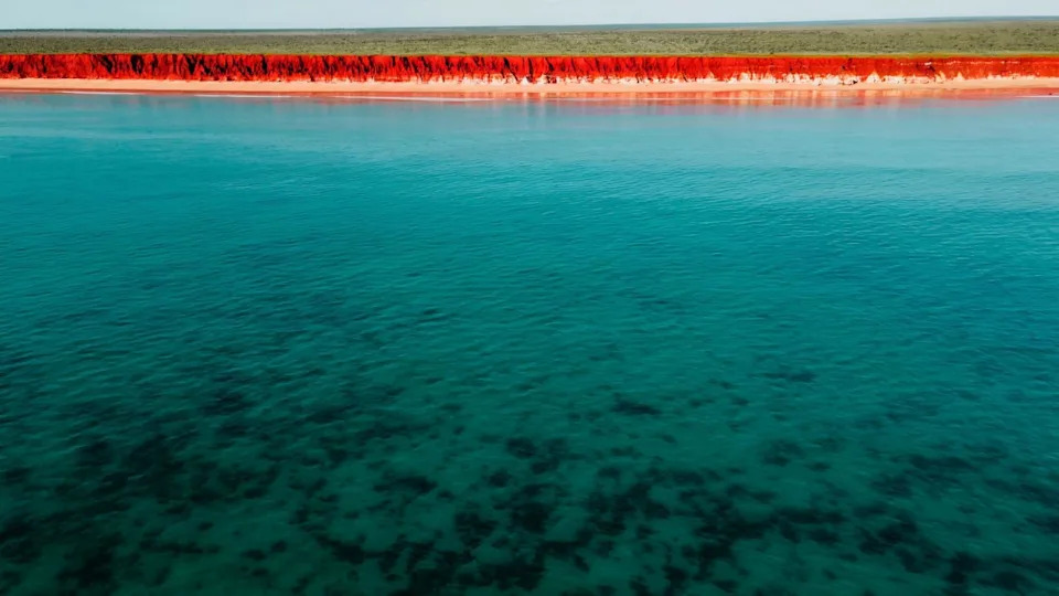 Evolutivni Skok Pre 410 Miliona Godina: Kako Su Ribe Postavile Temelje Za Život Na Kopnu