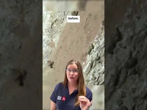 Neočekivani nikal na Marsu: Novi tragovi mogućeg drevnog života u Neretva Vallis