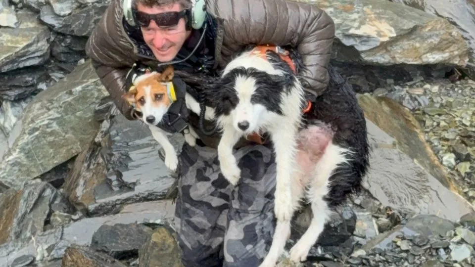 Molly Ponovo Sa Vlasnicom: Border Collie Pronađen Termalnom Kamerom Nedelju Dana Posle Pada Sa Vodopada