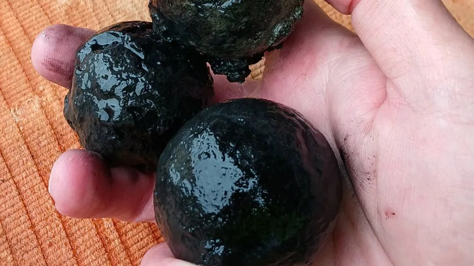 Pronađen Dannebroge: Potopljeni Ratni Brod Kod Kopenhagena Posle 225 Godina