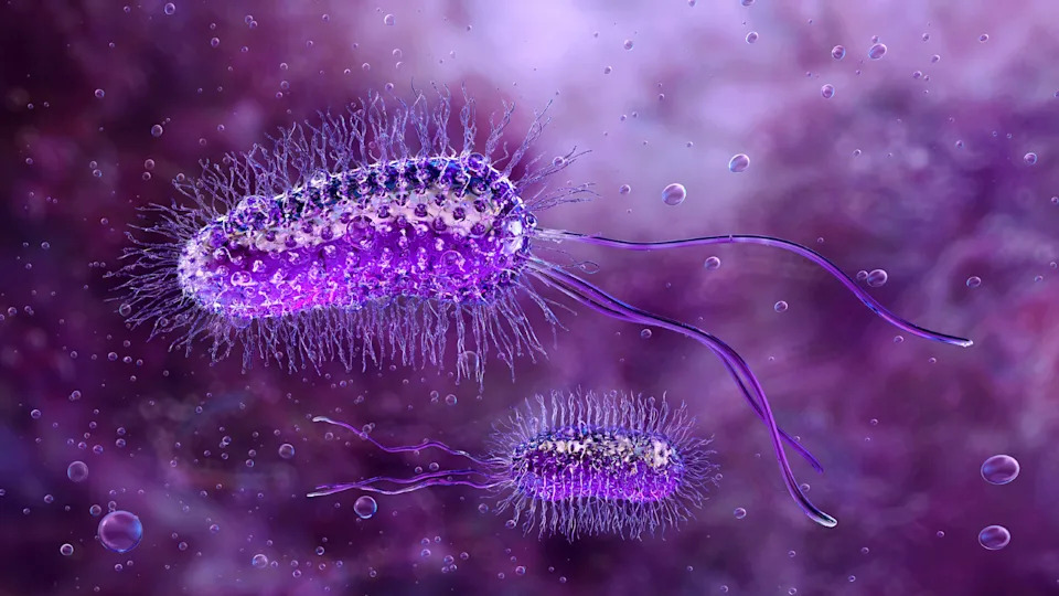 Mrvice hleba kao izvor vodonika: biološko-metalna metoda za održivu hidrogenaciju