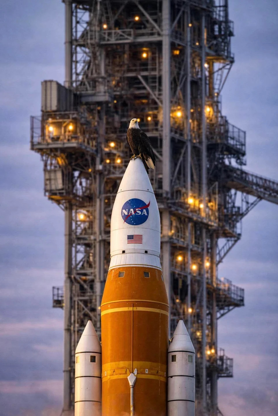 Provera Činjenica: Slika Nije Prikazala Belorogog Orla Koji Sleće Na Artemis II — To Je AI-Slika