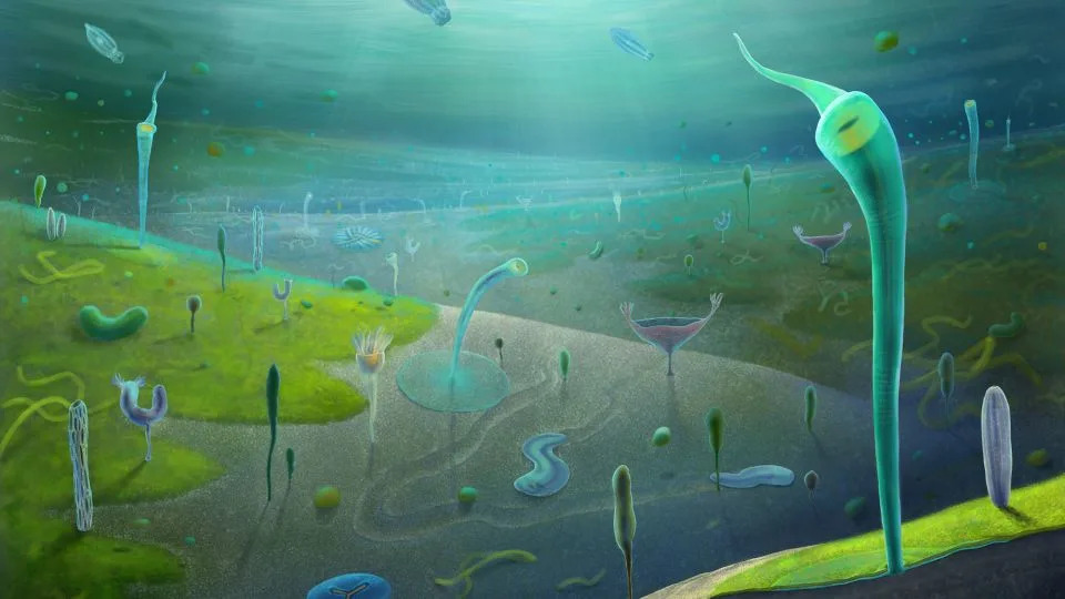 Fosili iz Yunnana pomeraju granice: Kompleksan život postojao je milionima godina pre kambrija