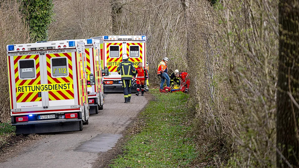 Uskršnja Tragedija u Nemačkoj: Stablo Srušeno Na Grozničavom Potrazi Za Jajima, Tri Poginula