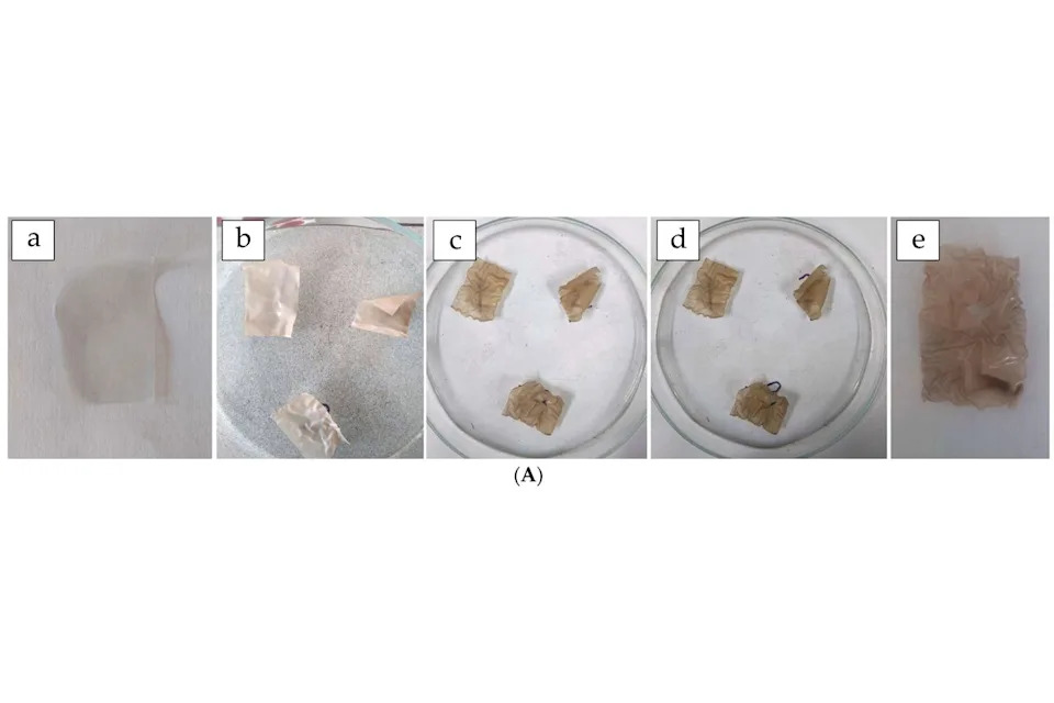 Novi Bioplastični Film Od Mleka: Ekonomična Barijera Protiv Mikroplastike