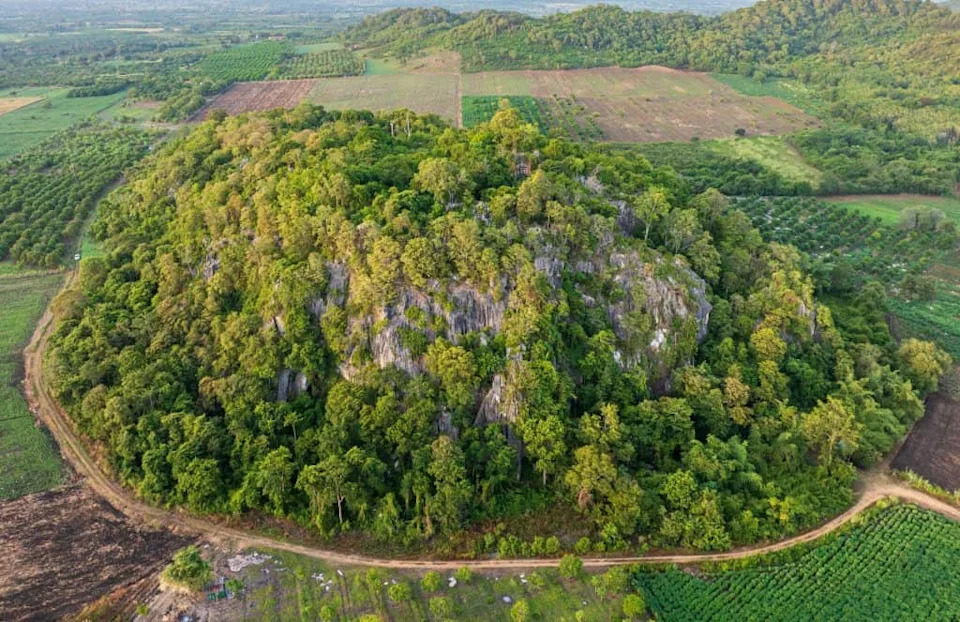 Upoznajte Najnoviju (i Najplavlju) Otrovnicu Kambodže — Tirkizna vipera iz karstova Battambanga