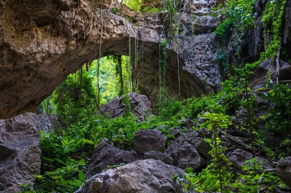Upoznajte Najnoviju (i Najplavlju) Otrovnicu Kambodže — Tirkizna vipera iz karstova Battambanga