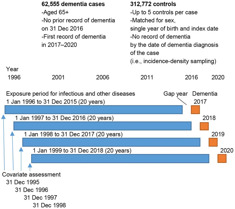 Kako Nekoliko Mikroba Kontroliše Crevni Mikrobiom: Novi Uvidi i Moguće Terapije