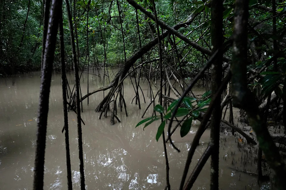 Nada od nafte, strah od posledica: Migrantski bum u Oiapoqueu nakon dozvole za bušenje