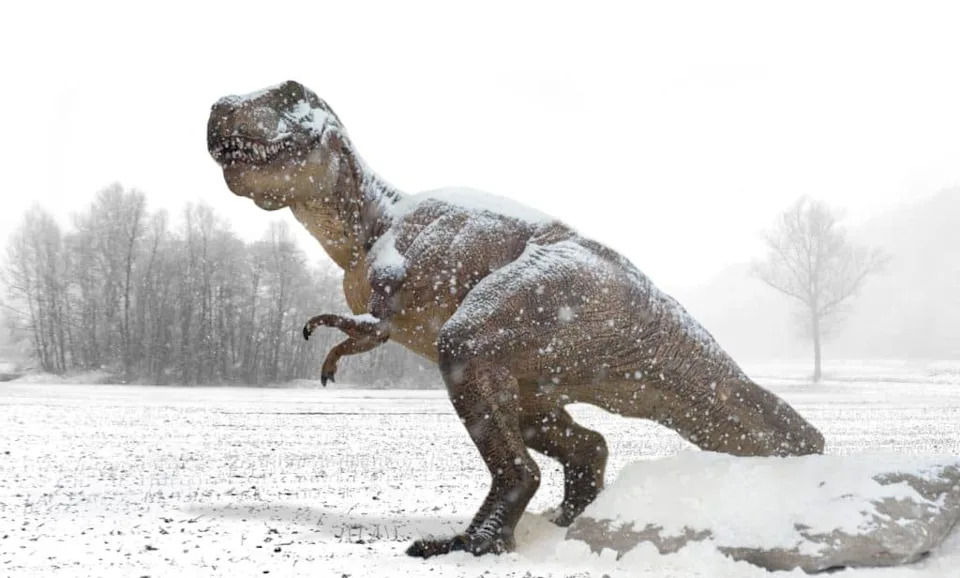 Da Li Trenutno Prolazimo Kroz Šesto Masovno Izumiranje Zemlje — I Šta Možemo Da Uradimo?