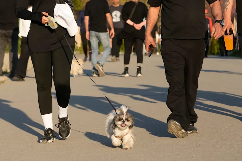 Teheran: Krhki Prekid Vatre Obeležen Tugom i Mirnim Vikendom