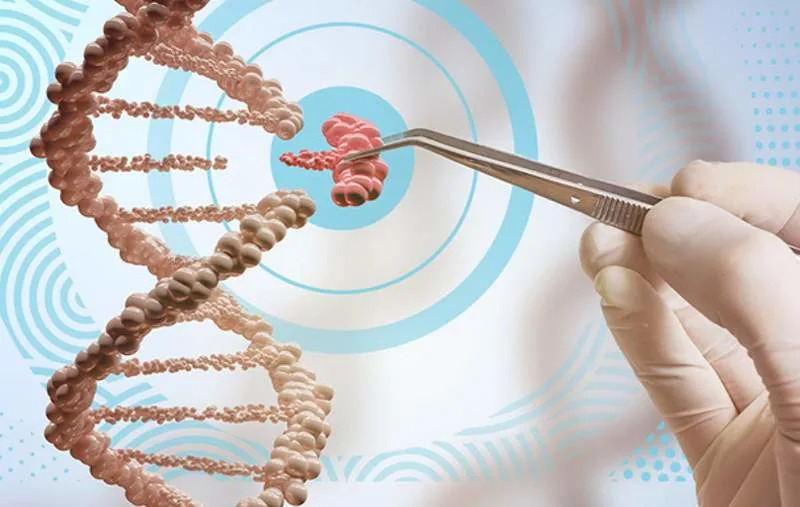 Jedan Nukleotid Može Preokrenuti Pol: Kako Mala Promena U Enhanceru Menja Razvoj