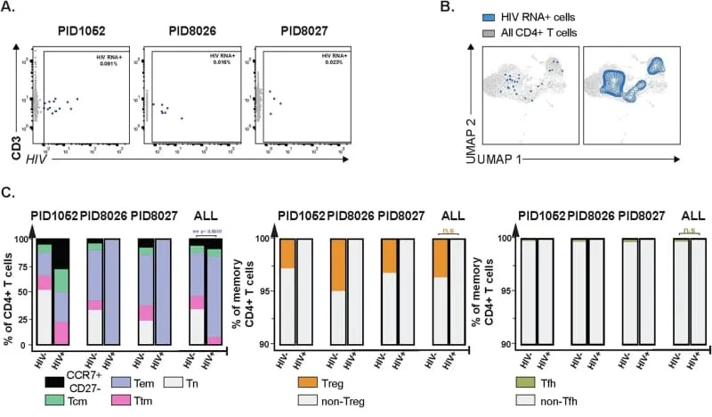 Novo otkriće objašnjava zašto se HIV brzo vraća — aktivni rezervoar otkriven metodom HIV-seq