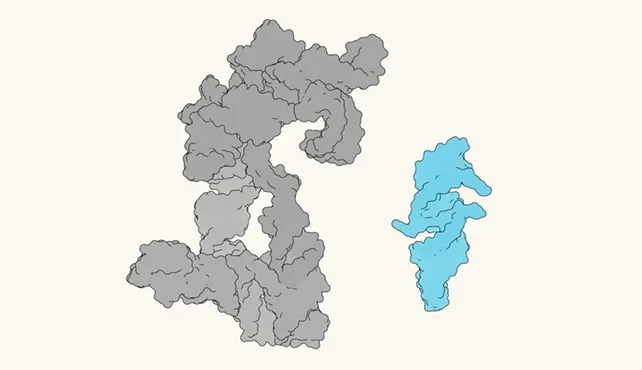Otkriven QT45 — mala molekula RNA koja se skoro samoreplicira