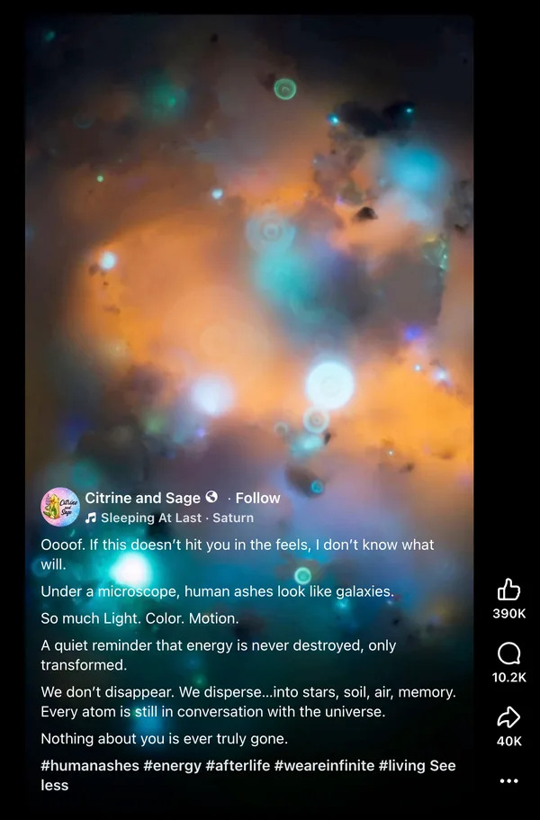 Pepeo pod mikroskopom: Da li zaista izgleda kao galaksije? Istina o radovima Gabriela Reyes Fuchs