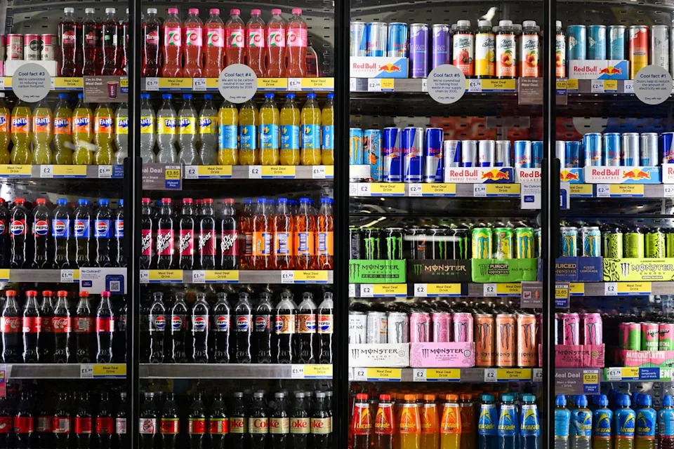 Veštački zaslađivači Menjaju Aktivnost Gena: Mogući Rizik Za Metaboličko Zdravlje Potomaka