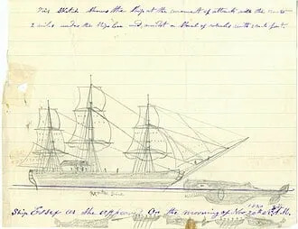 Prvi Put Snimljeno: Pododrasli Spermatozni Kitovi Se Sudaraju Glavama