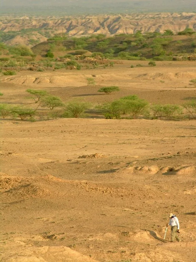 Halibee: Otkriveni Ostaci Ljudi I Alati Stari Oko 100.000 Godina U Afarskom Rifu