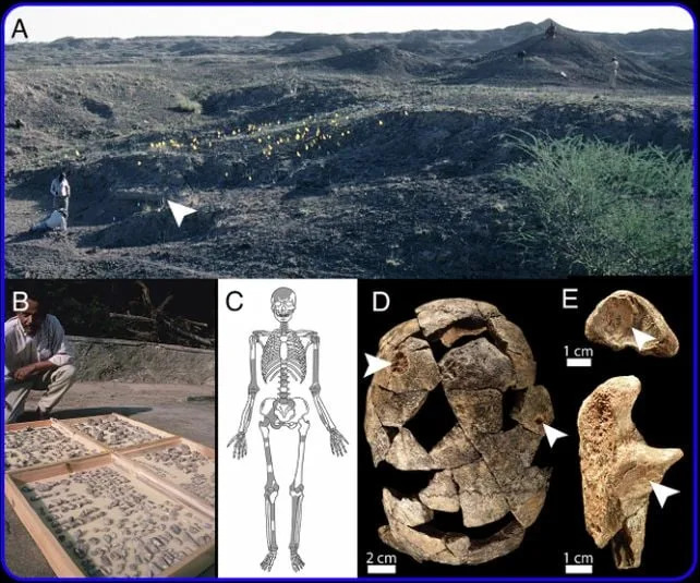 Halibee: Otkriveni Ostaci Ljudi I Alati Stari Oko 100.000 Godina U Afarskom Rifu
