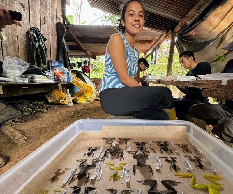 Nova staklena žaba <i>Nymphargus dajomesae</i> nazvana u čast olimpijske šampionke Neisi Dajomes