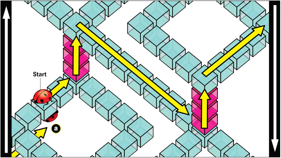 Matematičari Dizajnirali Novi „Nemogući“ Oblik: Kleinovo Stepenište Sa Neabelijskim Svojstvom