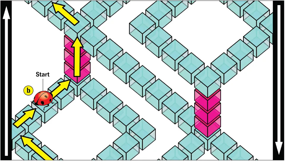 Matematičari Dizajnirali Novi „Nemogući“ Oblik: Kleinovo Stepenište Sa Neabelijskim Svojstvom