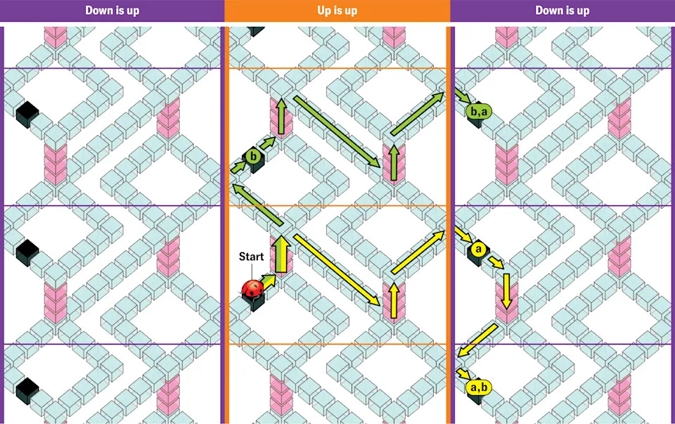 Matematičari Dizajnirali Novi „Nemogući“ Oblik: Kleinovo Stepenište Sa Neabelijskim Svojstvom