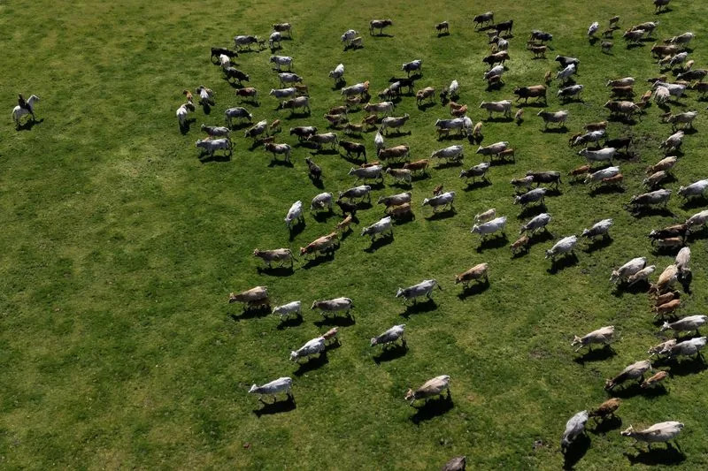 Rumen Radev Predvodi Ankete Na Protikorupcijskoj Platformi — Da Li Će Promeniti Bugarsku?