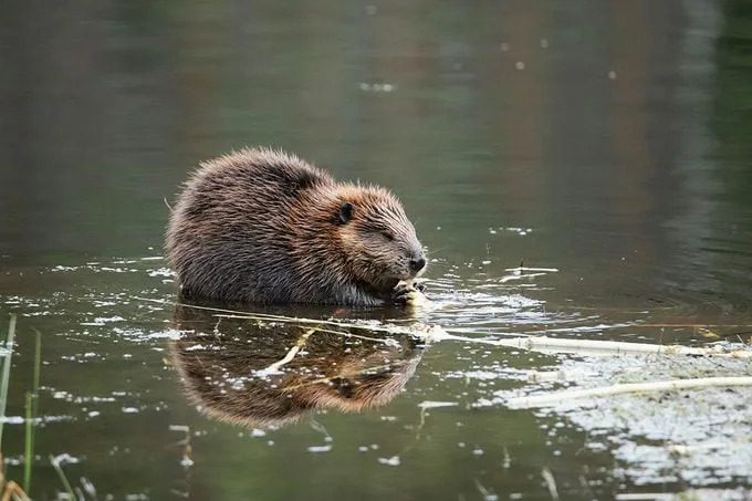 9 Zapanjujućih Otkrića O Zemlji Koja Menjaju Naš Pogled Na Planet