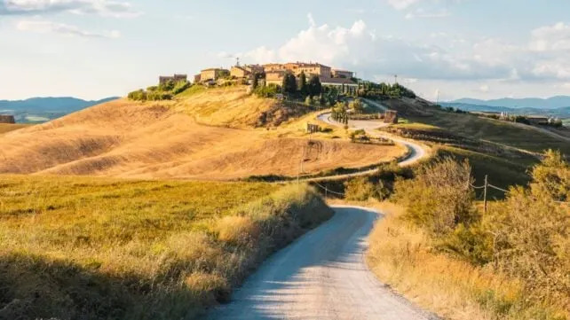 Nedeljni pregled nauke: Injekcije koje obnavljaju hrskavicu, 'govor' kitova i izuzetno čista zvezda