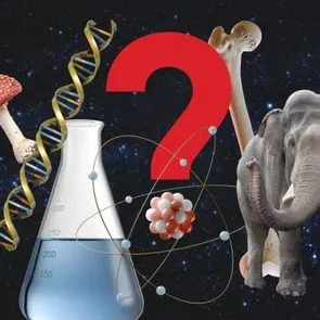 Nije Vam Se Zabunilo: Okean Postaje Zeleniji — Evo Zašto i Šta To Znači