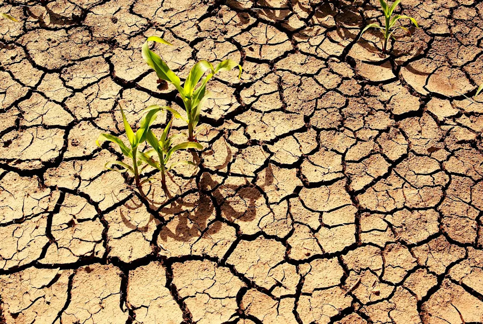 Rekordna suša i nestanak vode pojačavaju pritisak na američke poljoprivrednike — šta to znači za hranu i snabdevanje