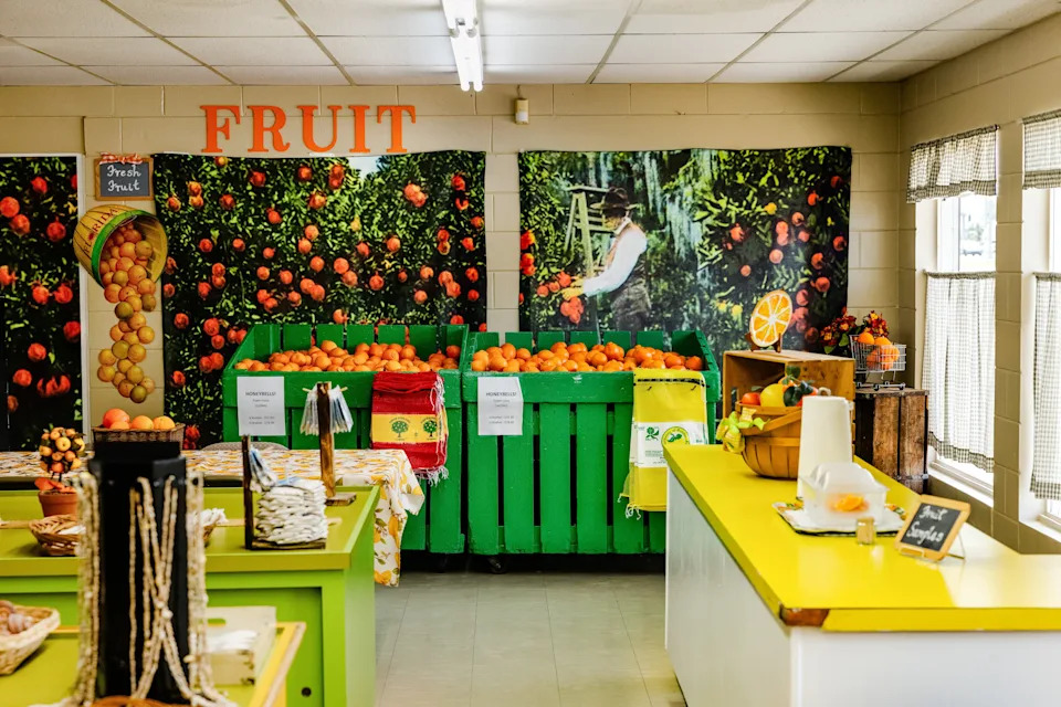 The Orange That Built Florida Is Dying — How HLB, Hurricanes and Development Collapsed the Citrus Industry