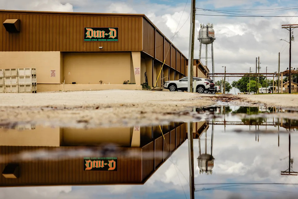 The Orange That Built Florida Is Dying — How HLB, Hurricanes and Development Collapsed the Citrus Industry