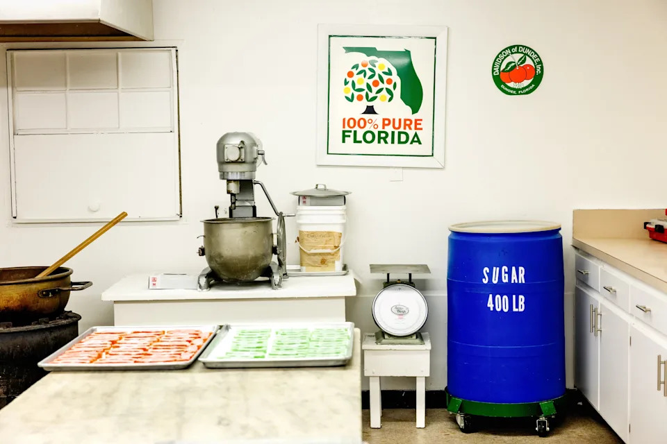 The Orange That Built Florida Is Dying — How HLB, Hurricanes and Development Collapsed the Citrus Industry