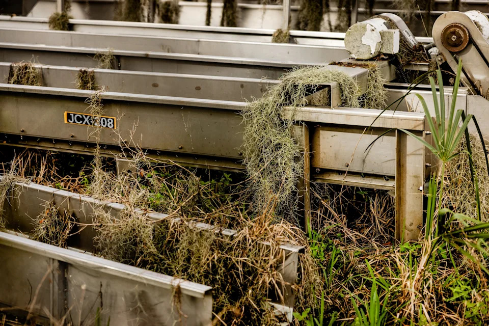The Orange That Built Florida Is Dying — How HLB, Hurricanes and Development Collapsed the Citrus Industry