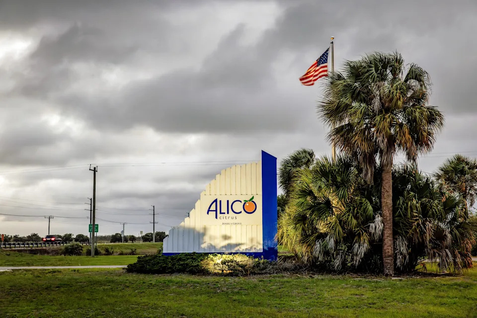 The Orange That Built Florida Is Dying — How HLB, Hurricanes and Development Collapsed the Citrus Industry