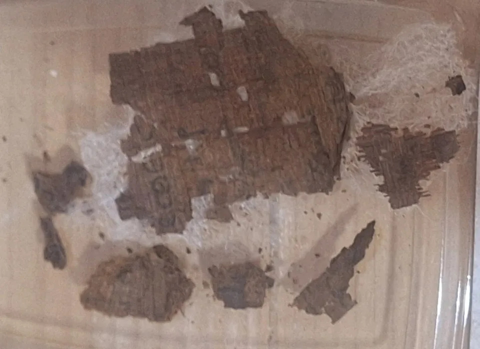 Neverovatan Nalaz: Fragment Homerske Ilijade Pronađen U Mumiji Iz Oxyrhynchusa