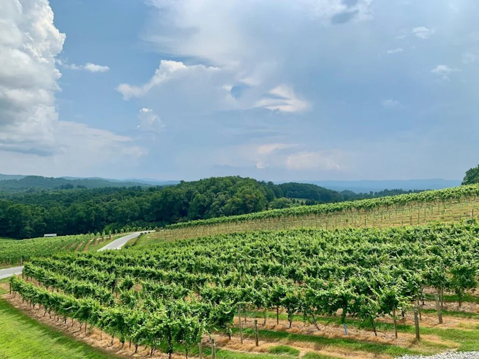 Nearly $15 Billion in U.S. Crop Losses Linked to Extreme Weather — These 10 States Bore the Brunt