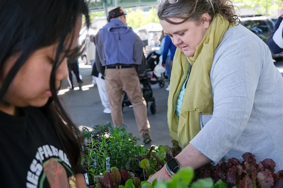 AI Search Errors Sent 100+ Shoppers to a Construction Site — Kansas Farmers Market Warns Public