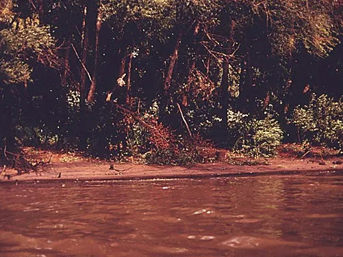 Before the EPA: Documerica Photos Reveal America's Smog, Sewage and the Laws That Changed Cities