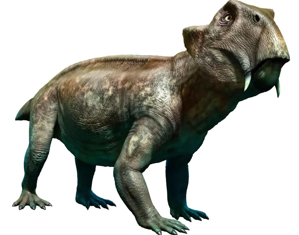 Skriveno 18 Godina — Rendgenski Snimak Otkrio Jaje Pretka Sisara (Lystrosaurus)