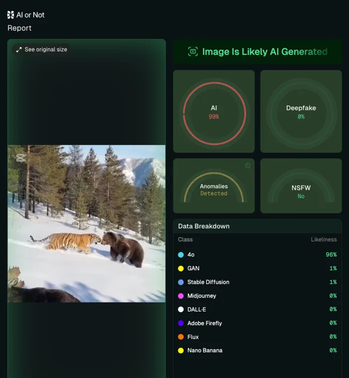 Provereno: Viralni video medveda i tigra NIJE autentičan — AI detektori 97–99.9% verovatnoće
