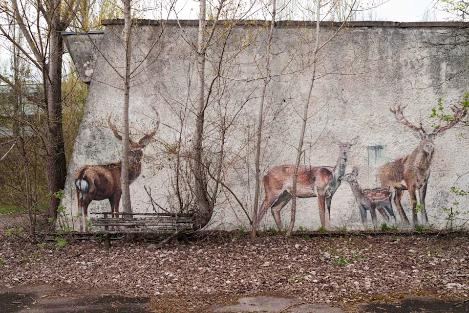 Likvidatori se vraćaju u Černobil: 40 godina posle susreta sa nevidljivim neprijateljem