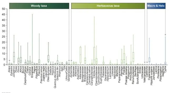 Rimski Premaz Koji Je Sačuvao Brod: Olupak Iz Jadrana Otkriva Tehnike Starije 2.200 Godina