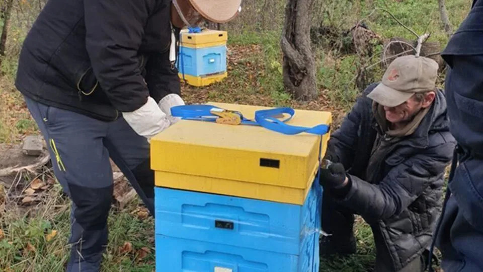 Dronom spaseni Barsik i Zagybluk — mačka i pas evakuisani sa prve linije