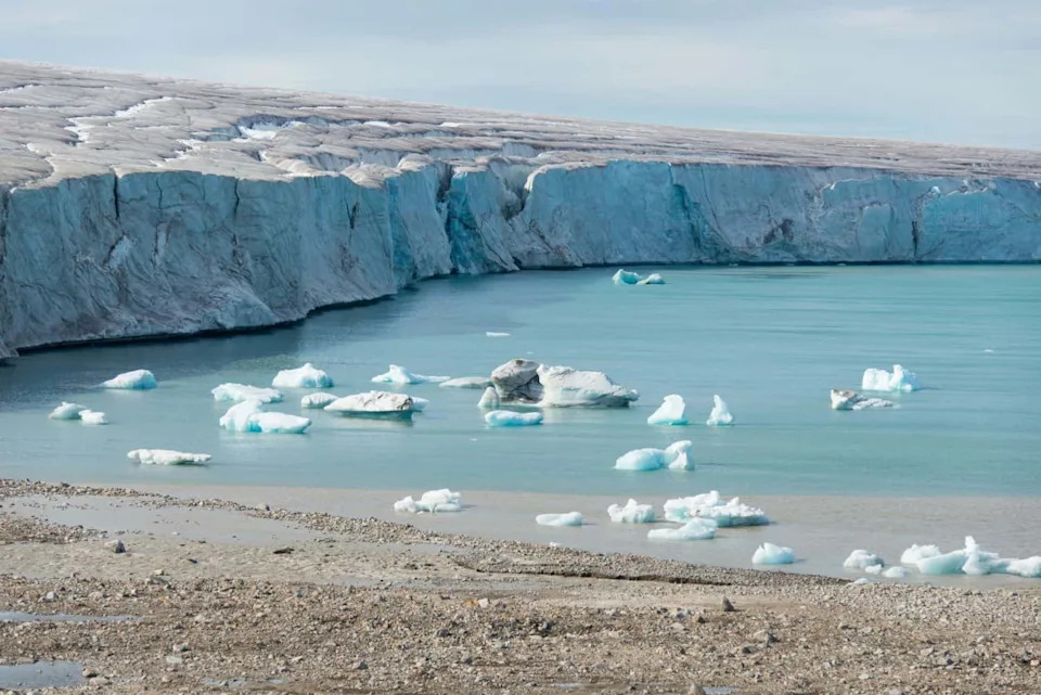 23 Miliona Godina Stari ‚Mrazovitiʼ Nosorog Otkriva: Nosorozi Su Nekada Lutali Visokim Arktikom