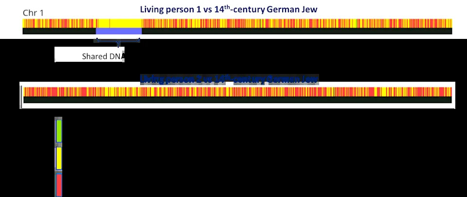 Kaže DNK da ste srodnik Vikinga, srednjovekovnog Jevrejina ili porobljenog Afrikanca iz 1700‑ih? Šta genetsko podudaranje zaista znači
